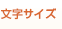 文字サイズ